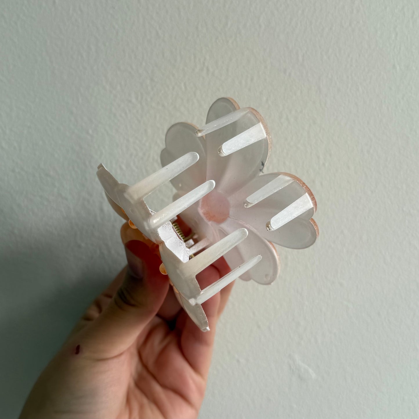 Tiburón Flor Hawaiana