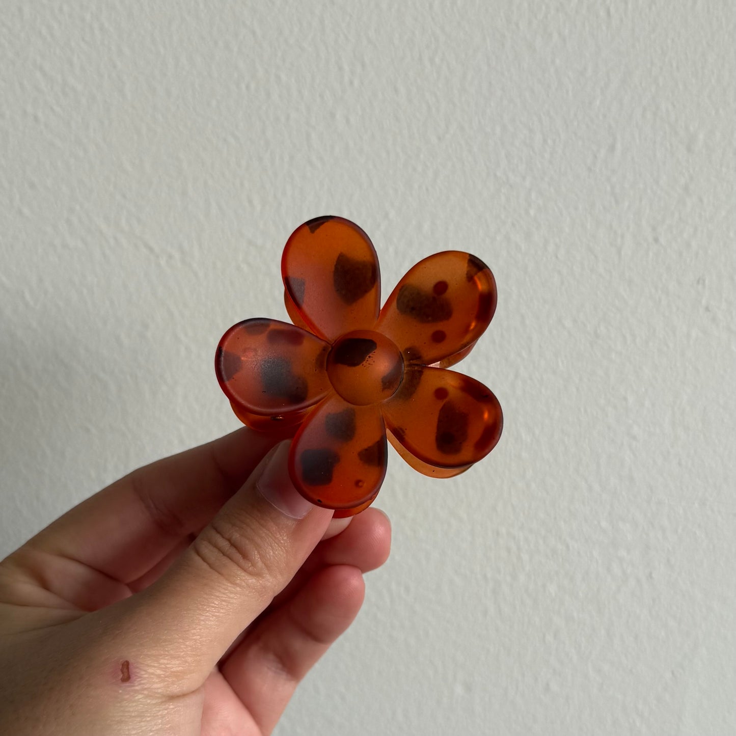 Tiburón Flor Mediano