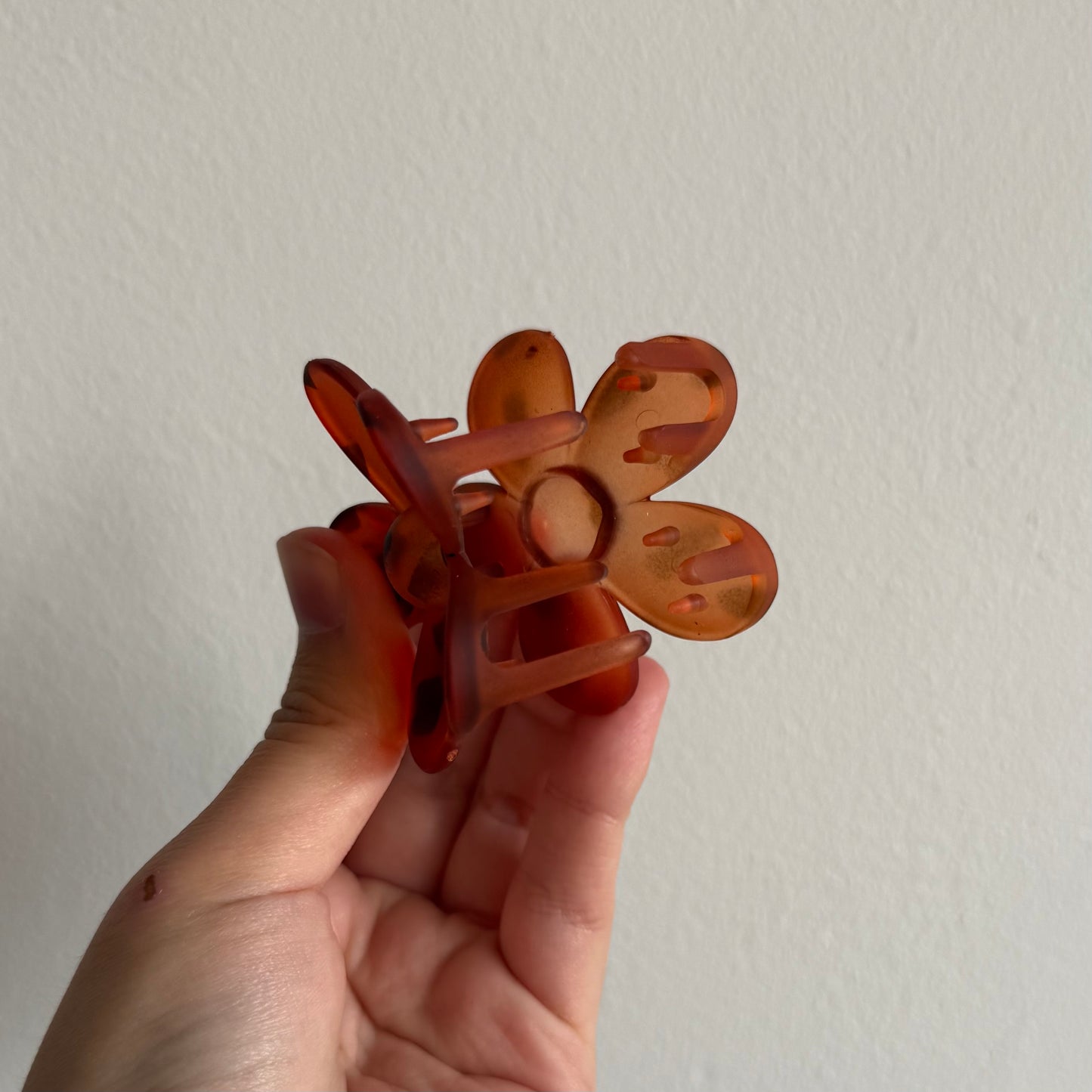 Tiburón Flor Mediano