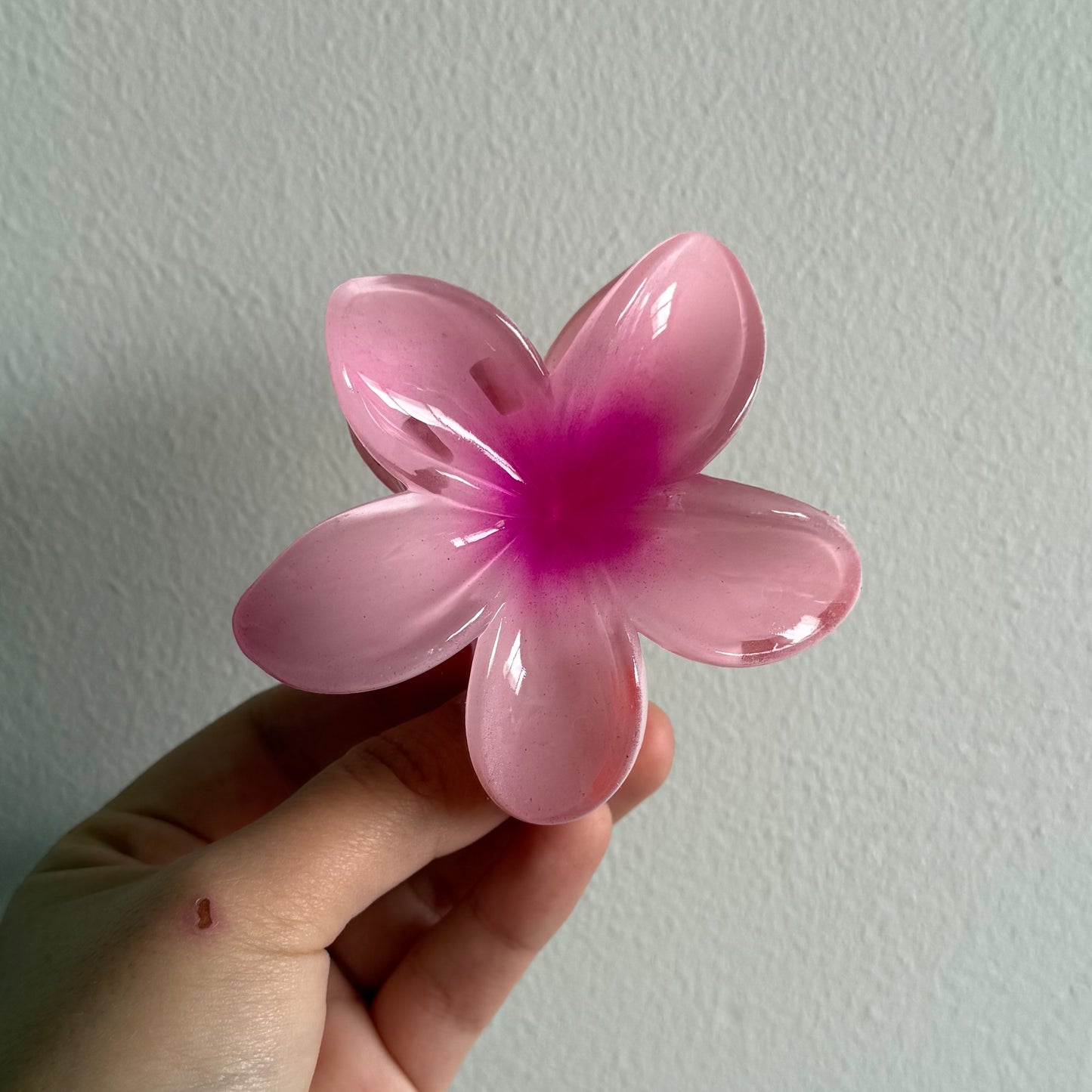 Tiburón Flor Hawaiana