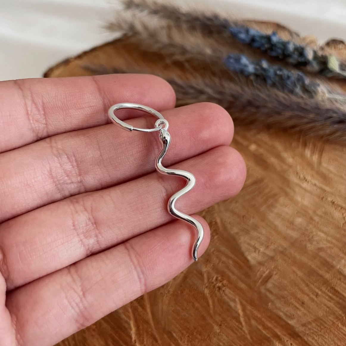 Argollas con Serpientes